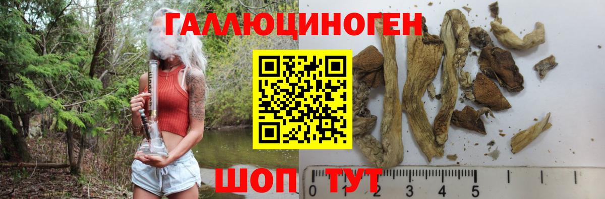 Южно-Сахалинск  Псилоцибиновые грибы MAGIC MUSHROOMS  Вход с VPN 